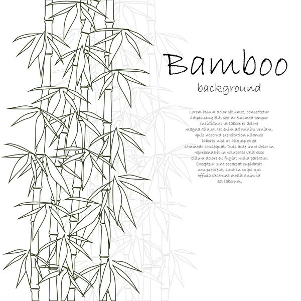 Fondo de bambú blanco — Archivo Imágenes Vectoriales