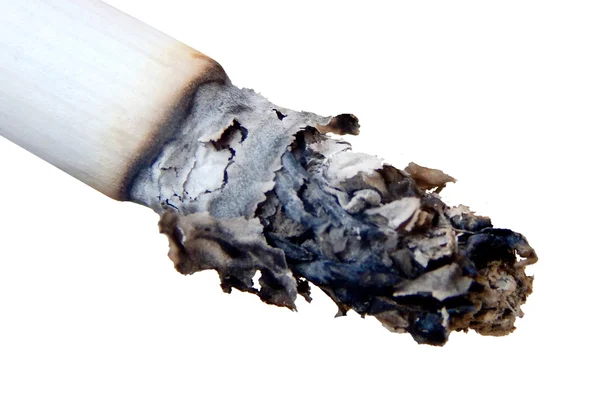 Closeup Lighted Cigarette Ash — Photo