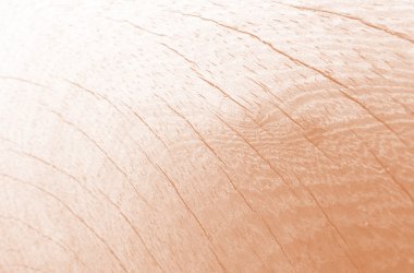  Arkaplan olarak kullanılmak üzere ahşap dokunun kapatılması                              