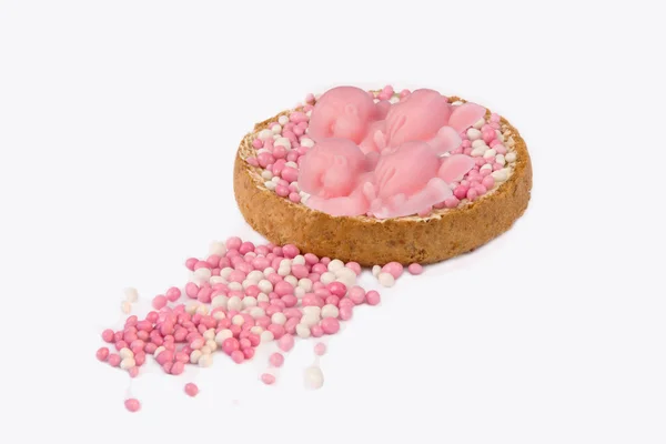 Rusk med rosa möss för flicka tvillingar Royaltyfria Stockfoton