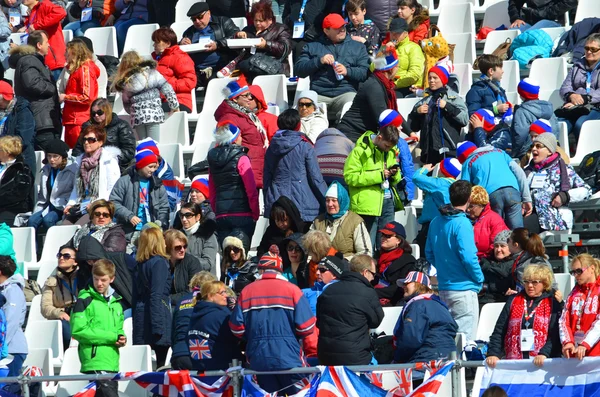 Diversión deportiva en los Juegos Paralímpicos de Invierno en Sochi —  Fotos de Stock