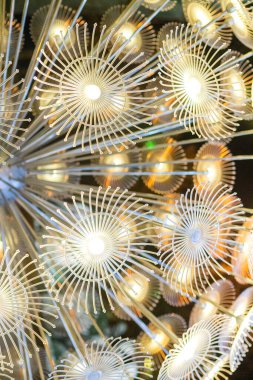 Parlayan karahindiba çiçeklerine benzeyen soyut bir açık hava ışık kurulumunun yakın görüntüsü. Parlak LED ışıklar modern, fütüristik ve sanatsal bir atmosfer yaratır, tasarım, teknoloji ve yaratıcı kavramlar için mükemmeldir.