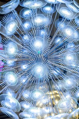 Parlayan karahindiba çiçeklerine benzeyen soyut bir açık hava ışık kurulumunun yakın görüntüsü. Parlak LED ışıklar modern, fütüristik ve sanatsal bir atmosfer yaratır, tasarım, teknoloji ve yaratıcı kavramlar için mükemmeldir.