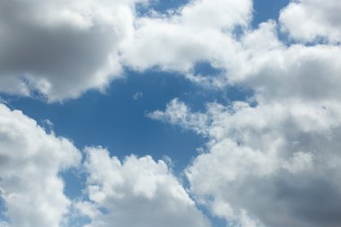 Doğada güzel fotoğraf