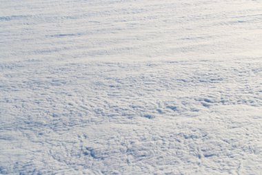 Doğada güzel fotoğraf