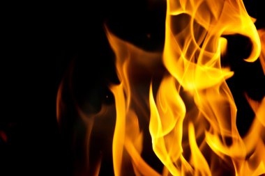 Doğada güzel fotoğraf