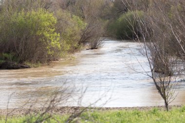 Doğada güzel fotoğraf