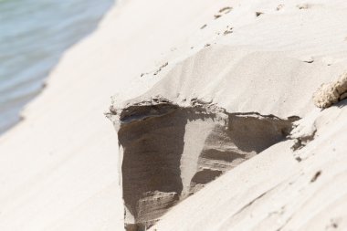 Profesyonel kamera ve lens tarafından çekilmiş fotoğrafı