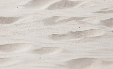 Profesyonel kamera ve lens tarafından çekilmiş fotoğrafı