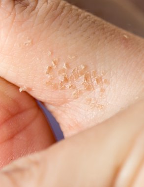 Profesyonel kamera ve lens tarafından çekilmiş fotoğrafı