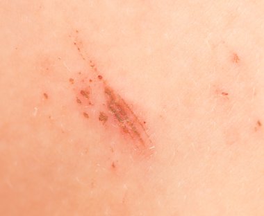 Profesyonel kamera ve lens tarafından çekilmiş fotoğrafı