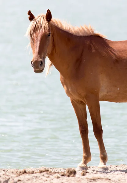 Beautiful photo in nature — Stock Photo, Image