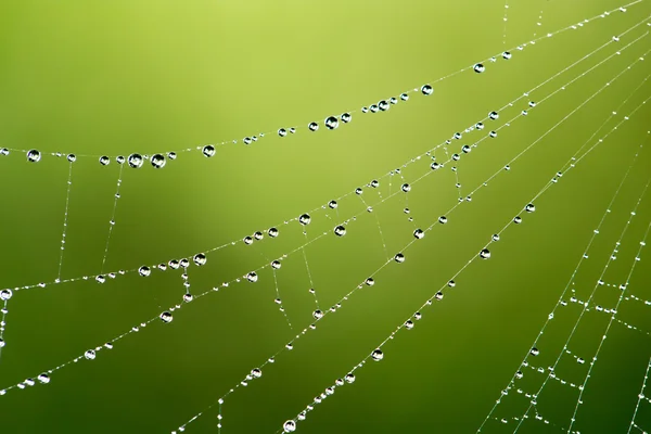 Foto tomada por cámara profesional y lente —  Fotos de Stock