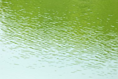 Doğada güzel fotoğraf