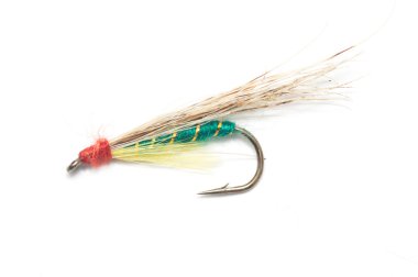 Profesyonel kamera ve lens tarafından çekilmiş fotoğrafı