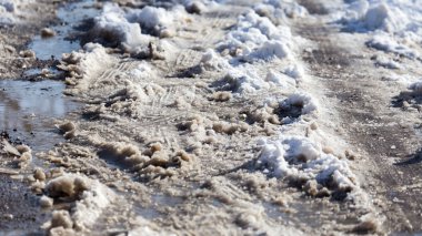 Doğada güzel fotoğraf