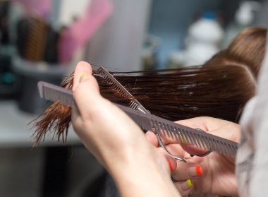 Güzellik Salonu Hizmetleri