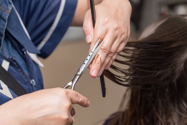 Güzellik Salonu Hizmetleri