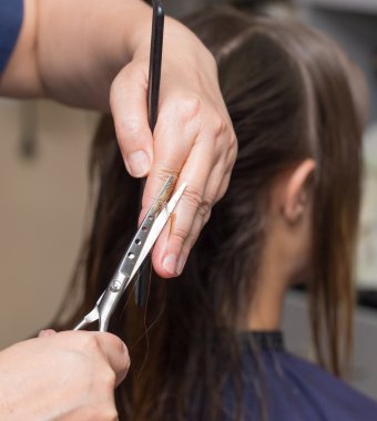 Güzellik Salonu Hizmetleri