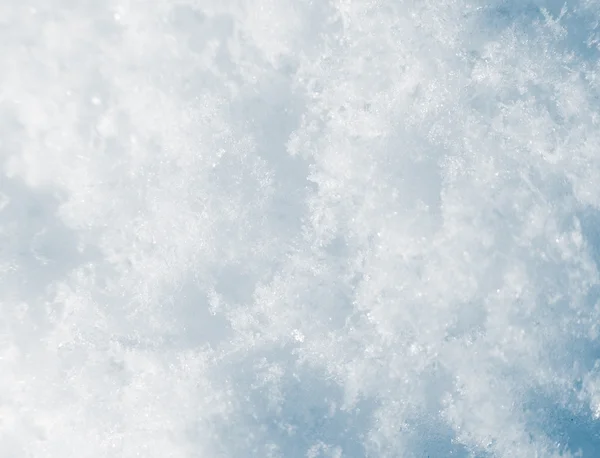 Vackra naturen på vintern som bakgrund — Stockfoto