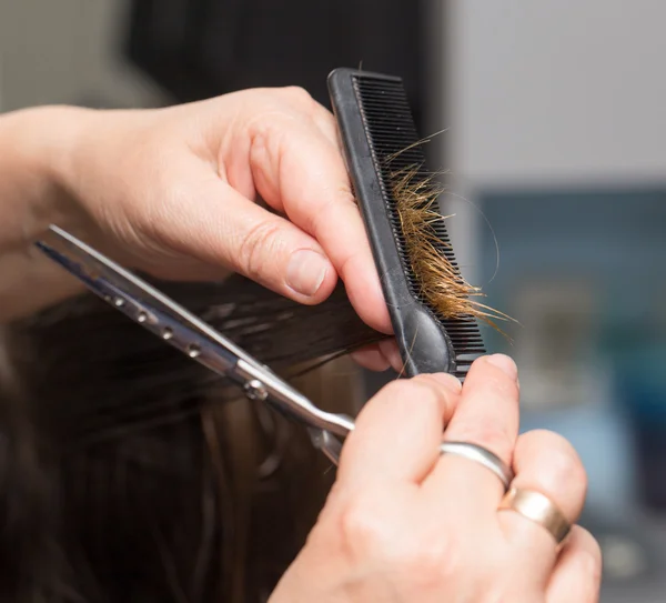 Services in the beauty salon — Stock Photo, Image