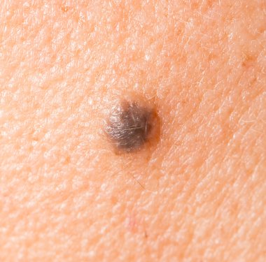 Güzellik Salonu Hizmetleri