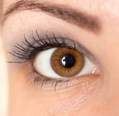 Güzellik Salonu Hizmetleri