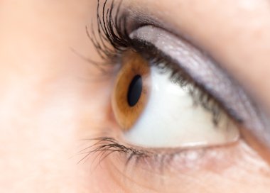 Güzellik Salonu Hizmetleri