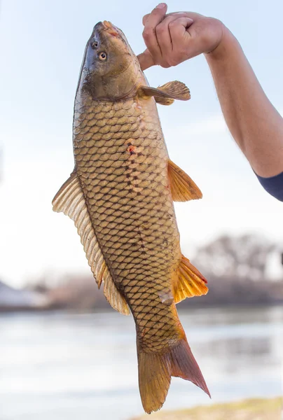 Fisk cookie på en fisketur — Stockfoto