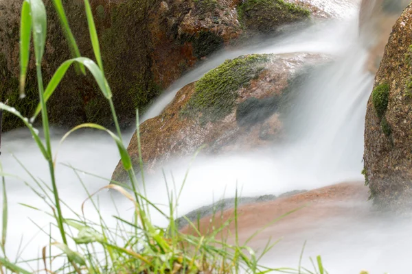 Natuur — Stockfoto