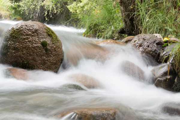 Nature — Stock Photo, Image