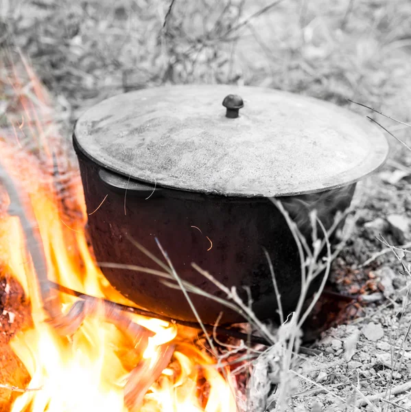 Levensmiddelen — Stockfoto