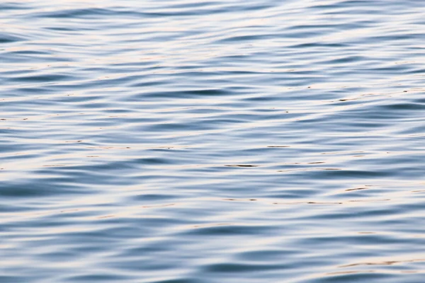 Naturaleza — Foto de Stock