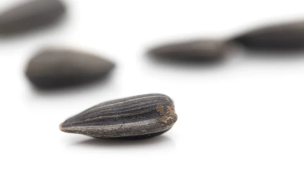 Alimentos, — Foto de Stock