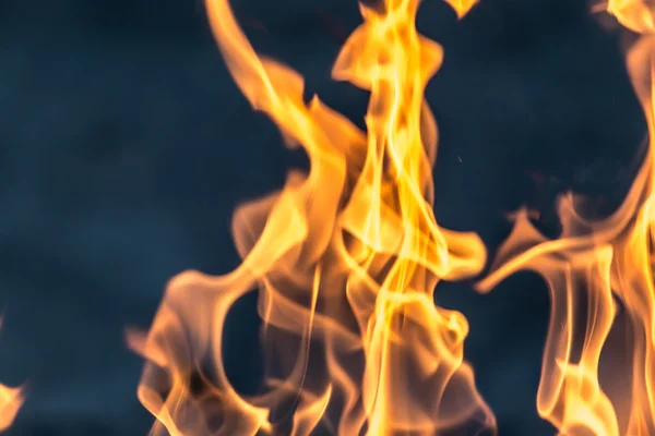 Madeira de fogo — Fotografia de Stock