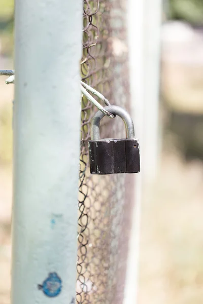 Achtergrond — Stockfoto