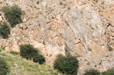 Doğa