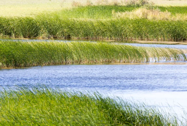 Naturaleza —  Fotos de Stock