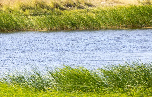 Naturaleza —  Fotos de Stock