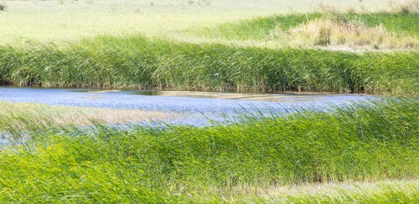 Naturaleza —  Fotos de Stock