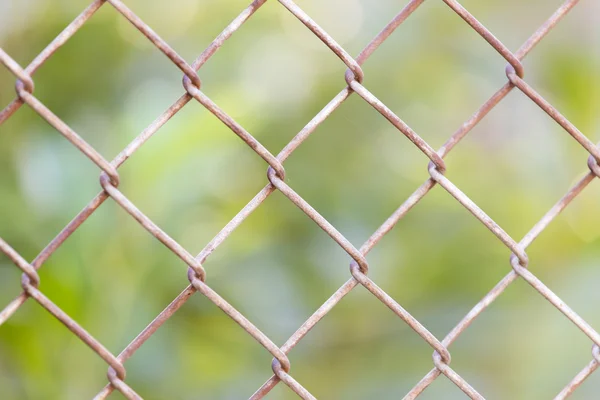 Naturaleza — Foto de Stock