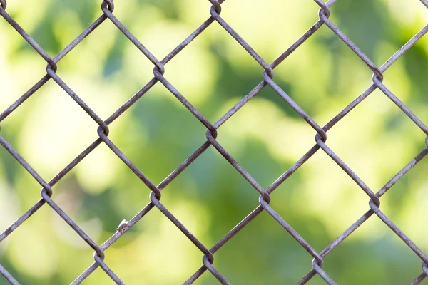 Naturaleza —  Fotos de Stock