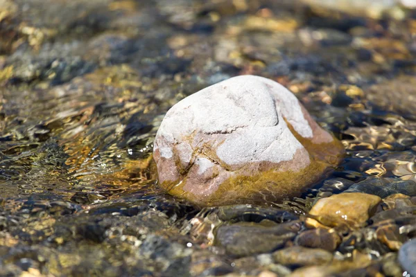 Natur — Stockfoto