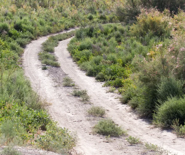 Naturaleza — Foto de Stock