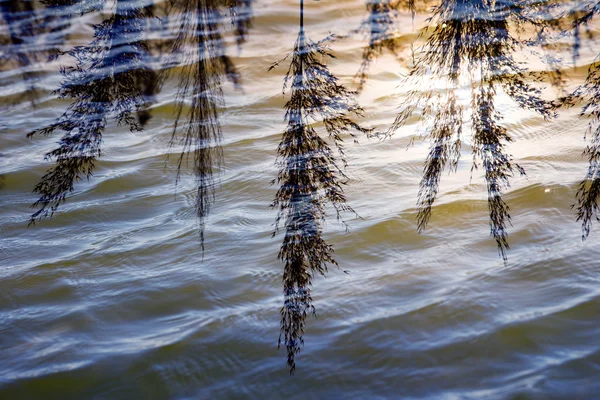 Water met lucht reflectie — Stockfoto