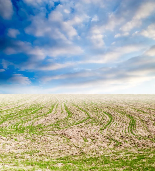 Hintergrund — Stockfoto