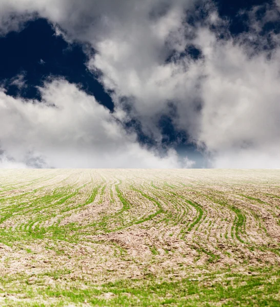 Hintergrund — Stockfoto