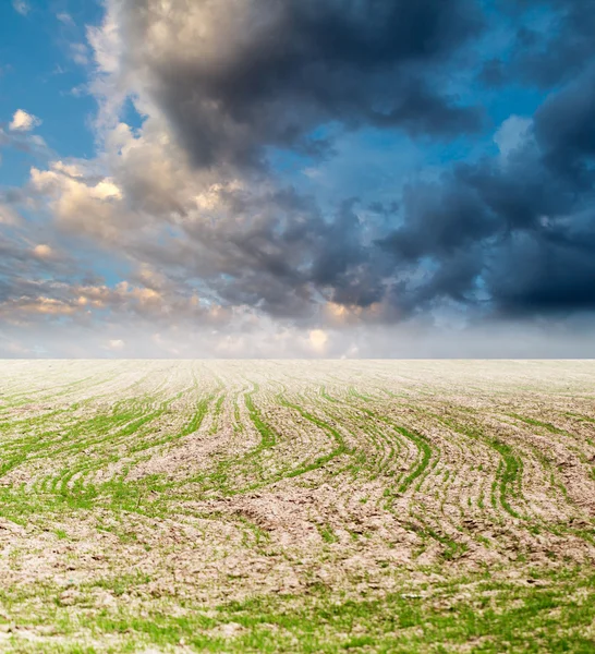 Hintergrund — Stockfoto