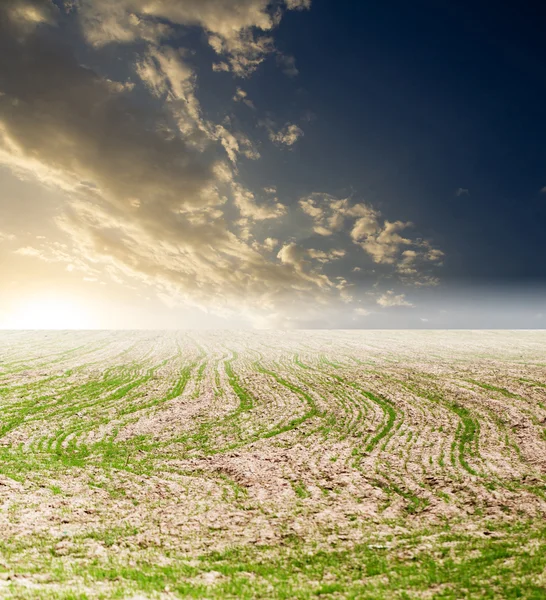 Hintergrund — Stockfoto