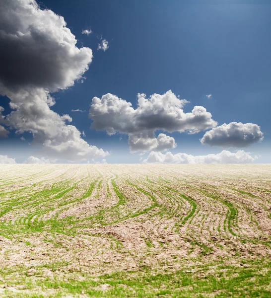 Hintergrund — Stockfoto